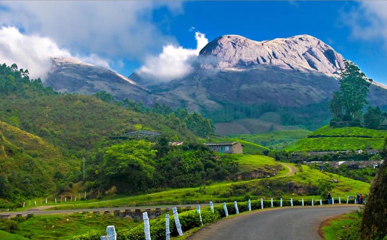 Kerala Heritage & Hills - Apparent Special Tour