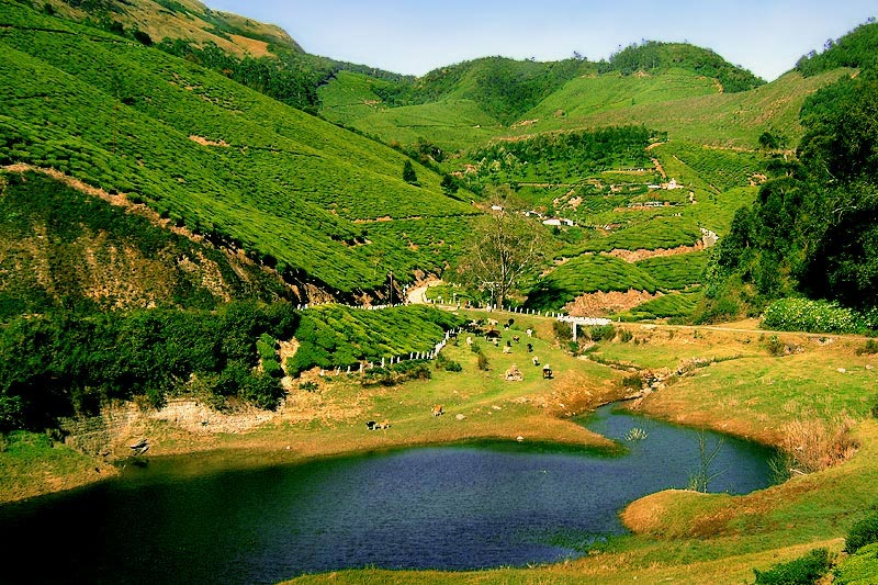 Kerala Heritage & Hills - Apparent Special Tour