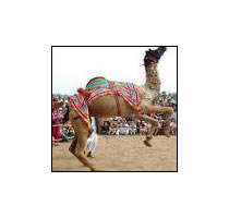 Rajasthan fort and palace tour