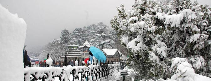 Shimla - Manali Honeymoon Special Tour