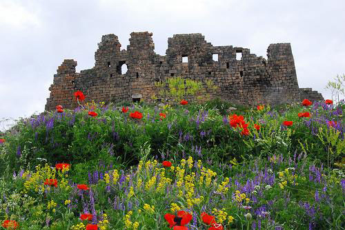 Amberd Fortress - Saghmosavank - Haghpat-Sanahin - Odzun - Kobayr Tour