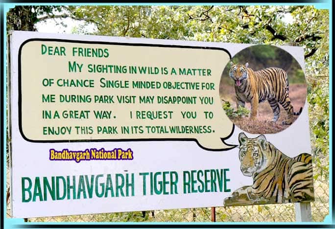 Land Of Tiger- Bandhabgarh- Kanha