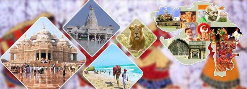 Gujarat Tour