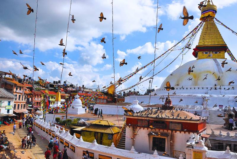 Chitwan - Kathmandu - Pokhara - Lumbini Tour Image