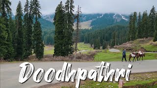 Kashmir Vaishno Devi With Dudhpathri (Tulip Special)