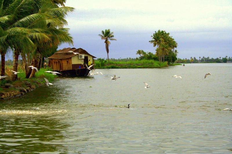 Kumarakam Backwaters Tour