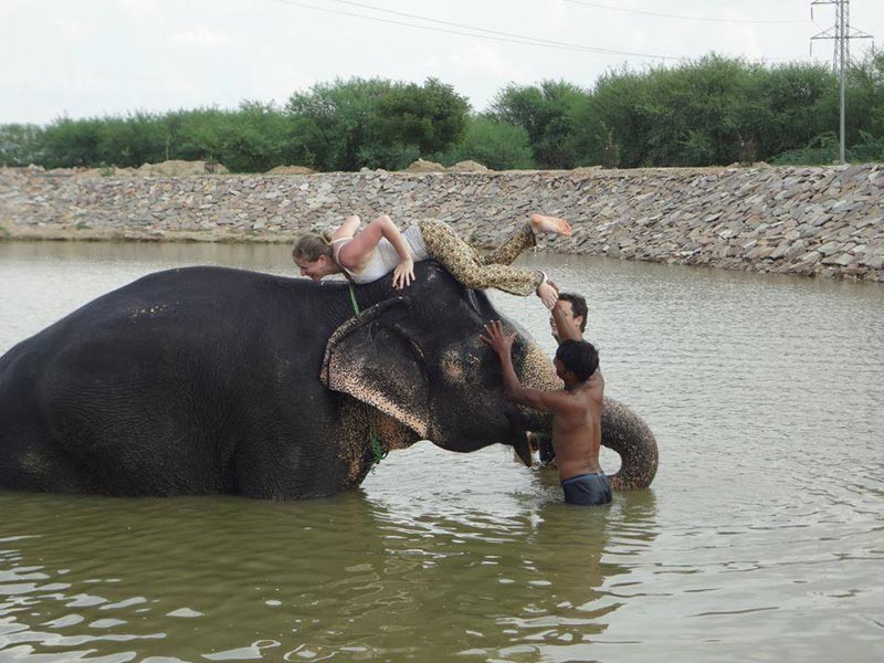 Elephant Riding In Village Tour