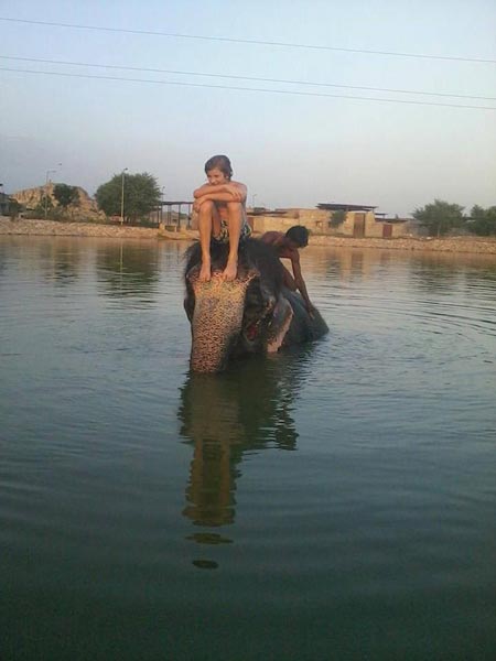 Elephant Village Tour