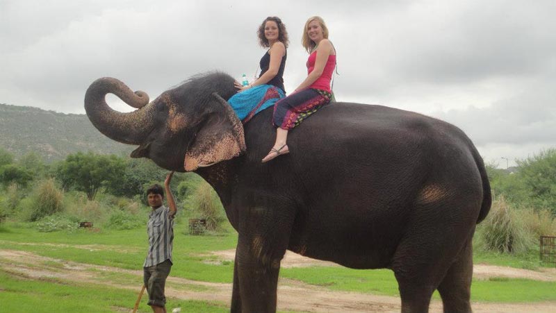 Elephant Safari In Sanctuary Tour