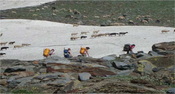 Manali - Keylong Trek Via Hamta Pass Tour