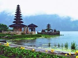 Best Of Bali Tour