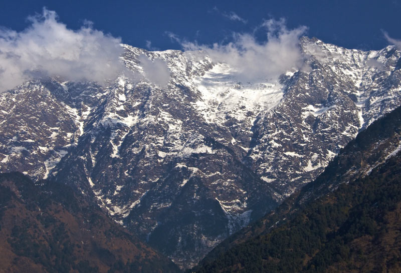 McLeod Ganj Exclusive Package