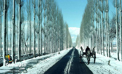 Mata Vaishno Devi - Shivkhodi Darshan Tour