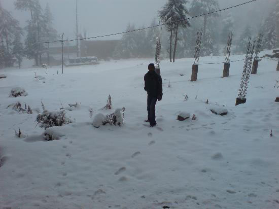 Mata Vaishno Devi - Shivkhodi Darshan Tour