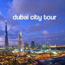 Dubai ( Dessert Tour ) Tour