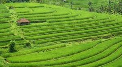 Balitour Packages 2017