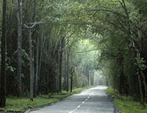 Wayanad - Kerala Hill Station