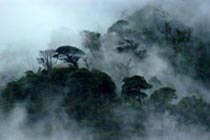 Hill Stations - Andhra Pradesh Tour