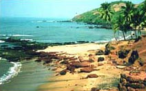 Special Holiday Packages For Goa