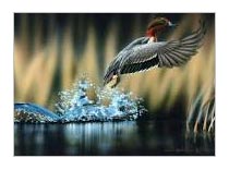 Wildlife Tour In Tamilnadu