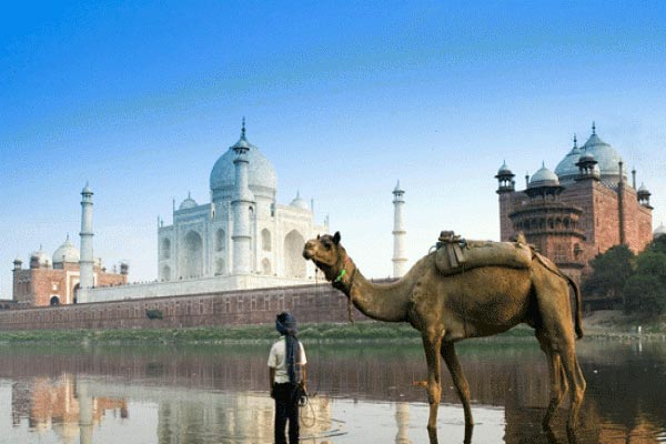 Golden Triangle of India Package