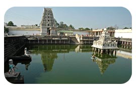 Kanchipuram Temple Tour