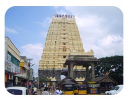 Kanchipuram Temple Tour