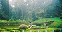 Ooty Packages - 1 Night and 2 Days