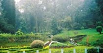 Ooty Packages - 2 Night and 3 Days
