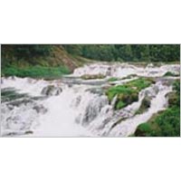 Ooty Packages - 2 Night and 3 Days