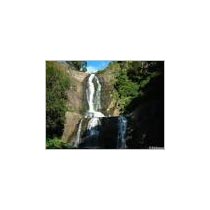 Kodaikanal Short Tour Package 3 Nights 4 Days