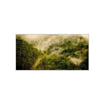 Kodaikanal Short Tour Package 3 Nights 4 Days