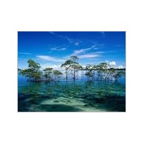 Andaman 6 Nights And 7 Days(Pgitp:123)