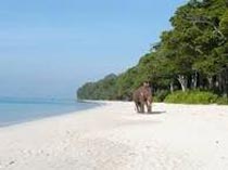 Andaman 6 Nights And 7 Days(Pgitp:123)