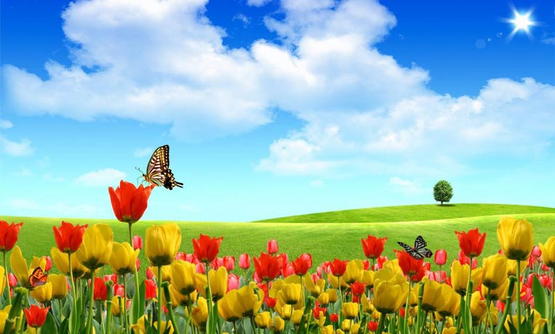 Himachal Pradesh tour package