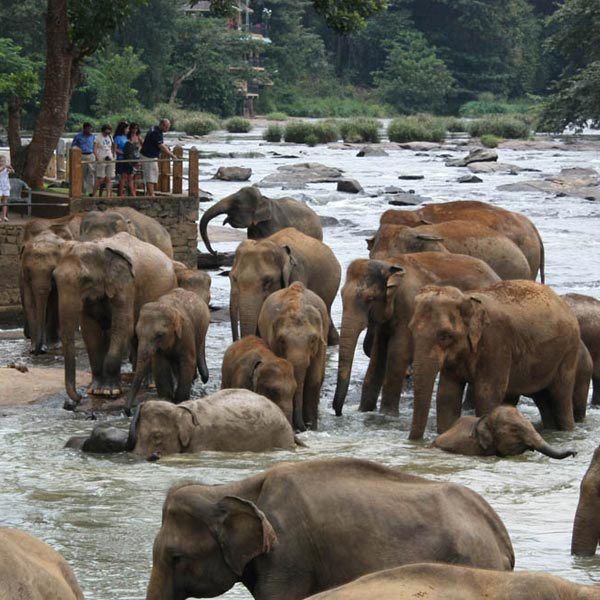 Sri Lanka Tour Package