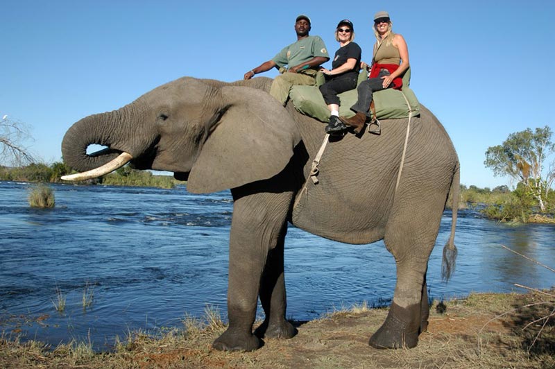 Victoria Falls & Chobe National Park
