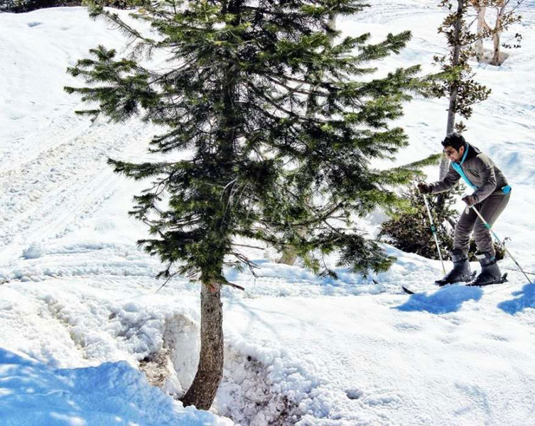 Special Himachal Tour Package