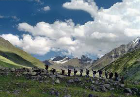 Natural Beauty Of Himachal Pradesh Best Tour