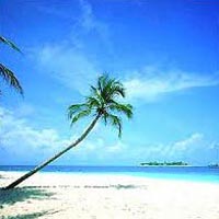 Best Kerala Package Tour