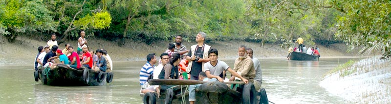 Sundarban Complete Mangrove Forest Tour