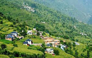 Himachal With Timber Trails Heights Tour