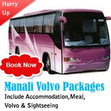 Manali Volvo Package 4Night/5Days