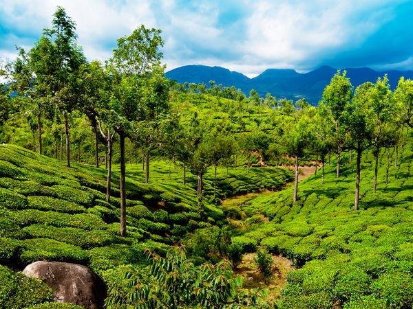 Charming Kerala Duration: 08 Nights/ 09 Days Tour
