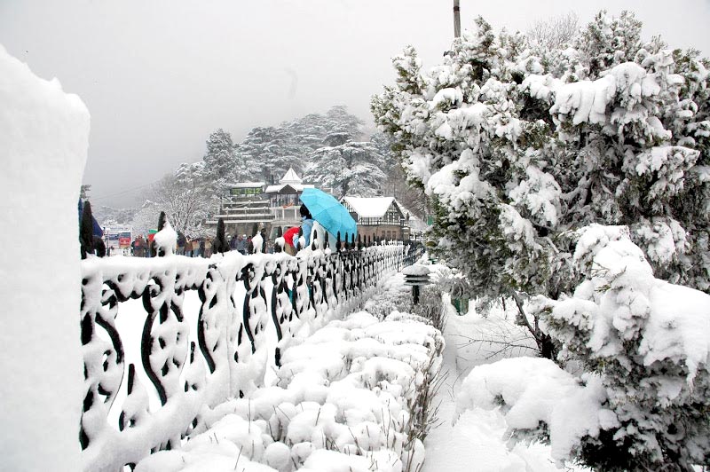 Snow Express Shimla - Manali Tour