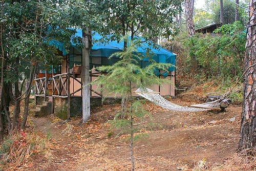 Jungle Camp (Outdoor Adventure Activity)