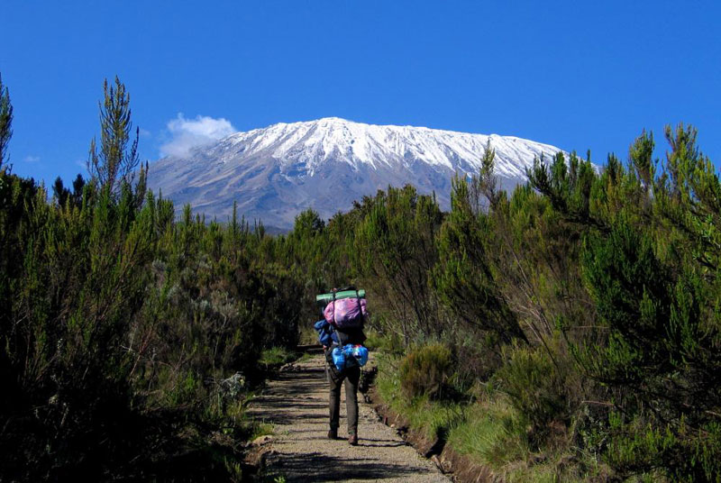 Trekking Mount Kilimanjaro Via Marangu Route Tour