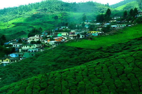Munnar Luxury Package