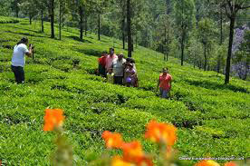 Mumbai - Bangalore - Mysore - Ooty - Bangalore - Mumbai Tour