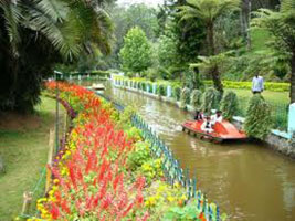 Mumbai - Bangalore - Mysore - Ooty - Bangalore - Mumbai Tour